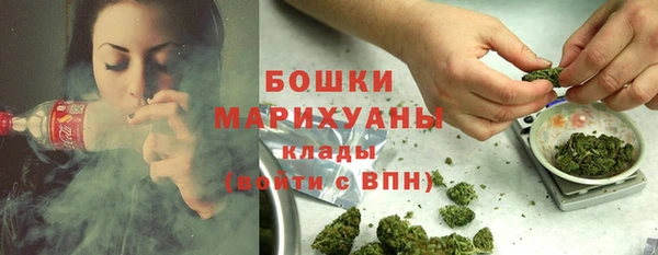 спайс Алзамай