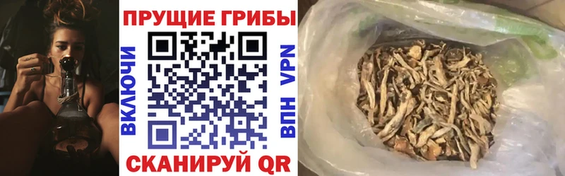 Галлюциногенные грибы прущие грибы Анадырь
